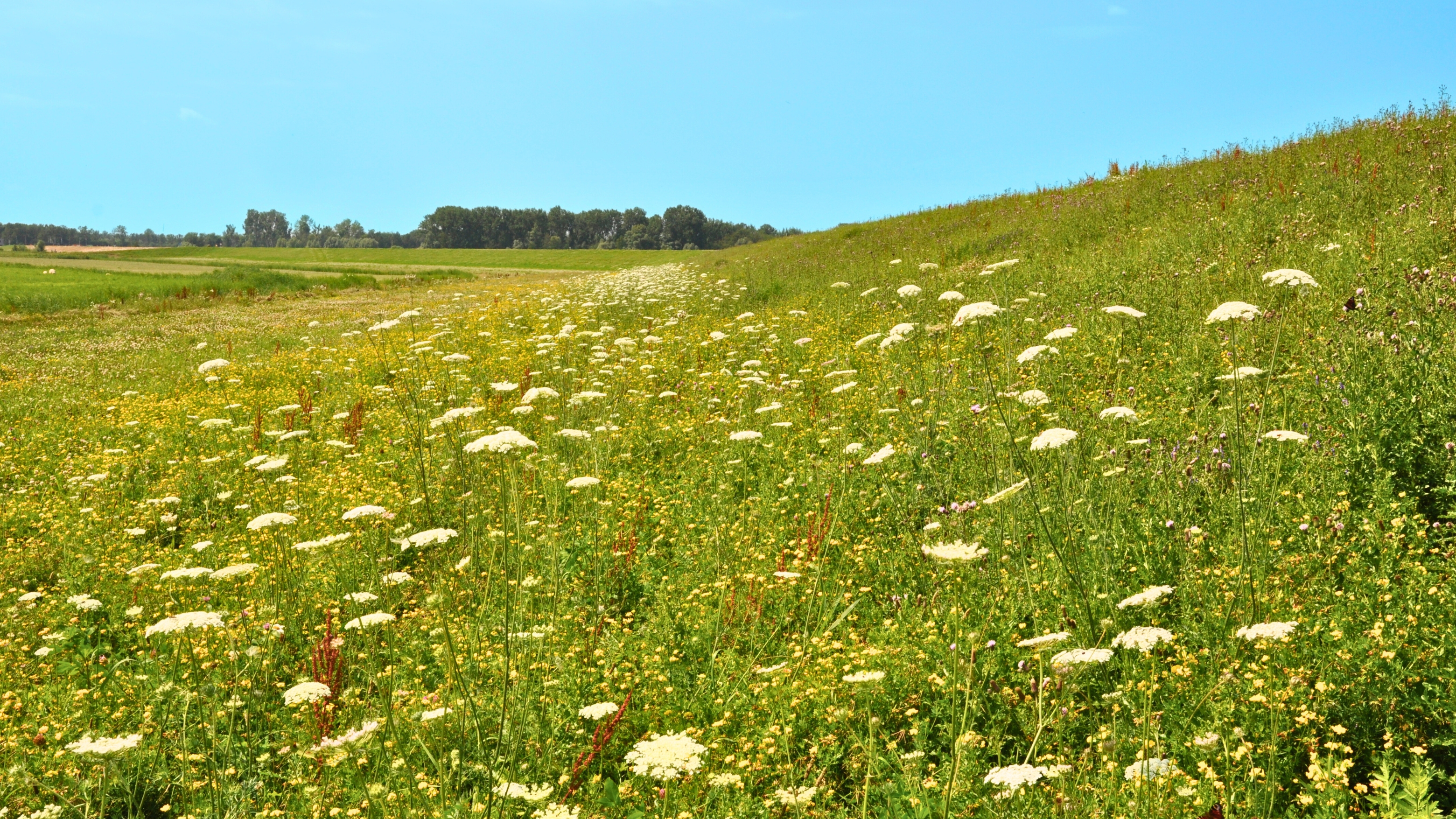 Natuurinclusief Bouwen (7) (1)